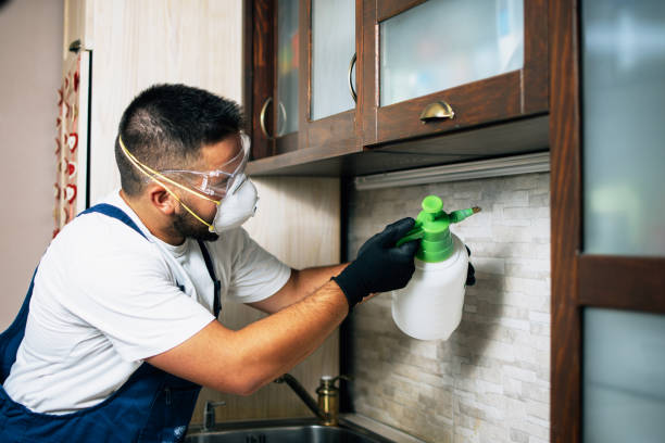 residential pest control